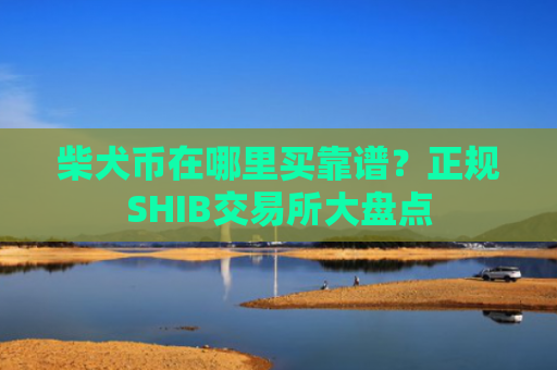 柴犬币在哪里买靠谱？正规SHIB交易所大盘点