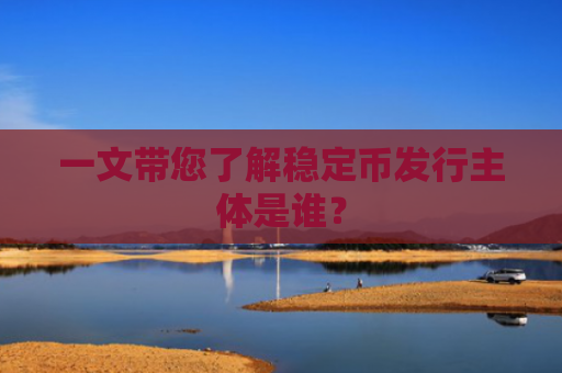 一文带您了解稳定币发行主体是谁?