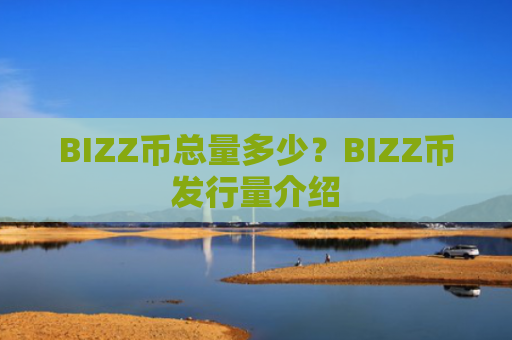 BIZZ币总量多少?BIZZ币发行量介绍