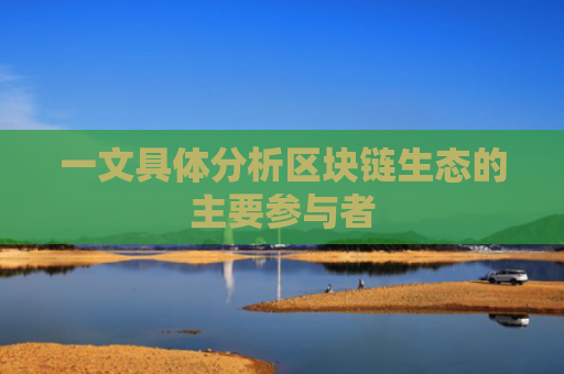 一文具体分析区块链生态的主要参与者