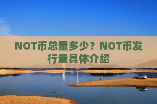 NOT币总量多少？NOT币发行量具体介绍