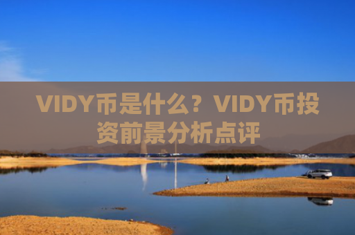 VIDY币是什么？VIDY币投资前景分析点评