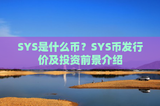 SYS是什么币？SYS币发行价及投资前景介绍