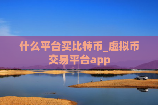 什么平台买比特币_虚拟币交易平台app