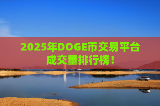 2025年DOGE币交易平台成交量排行榜！
