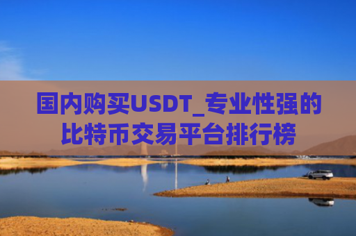 国内购买USDT_专业性强的比特币交易平台排行榜