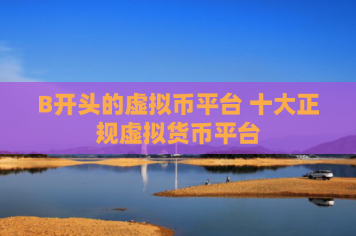 B开头的虚拟币平台 十大正规虚拟货币平台