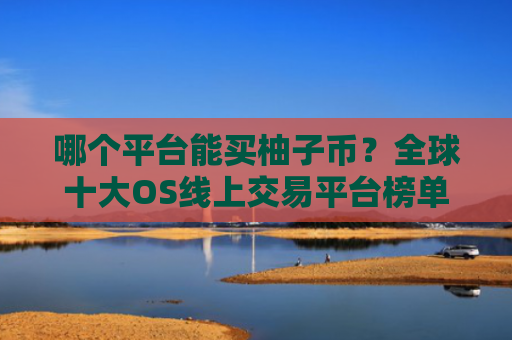 哪个平台能买柚子币?全球十大OS线上交易平台榜单