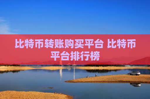 比特币转账购买平台 比特币平台排行榜