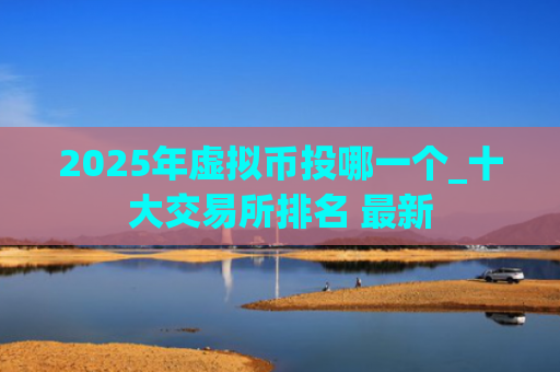 2025年虚拟币投哪一个_十大交易所排名 最新