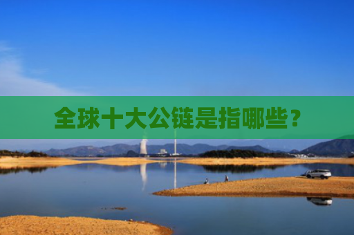 全球十大公链是指哪些?