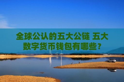全球公认的五大公链 五大数字货币钱包有哪些?