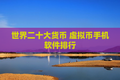 世界二十大货币 虚拟币手机软件排行