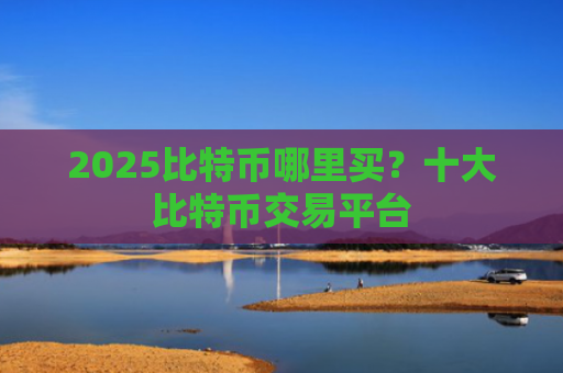 2025比特币哪里买？十大比特币交易平台