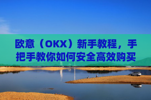 欧意(OKX)新手教程,手把手教你如何安全高效购买数字货币_