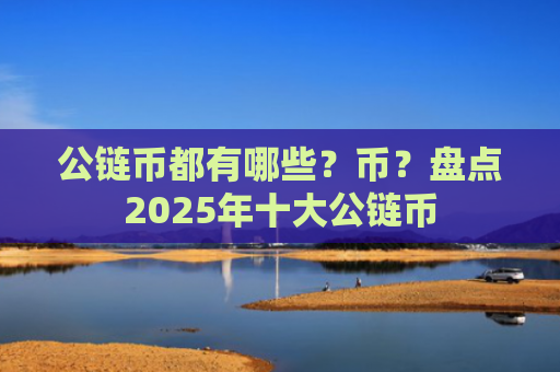 公链币都有哪些？币？盘点2025年十大公链币