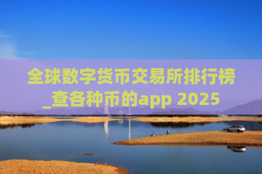 全球数字货币交易所排行榜_查各种币的app 2025