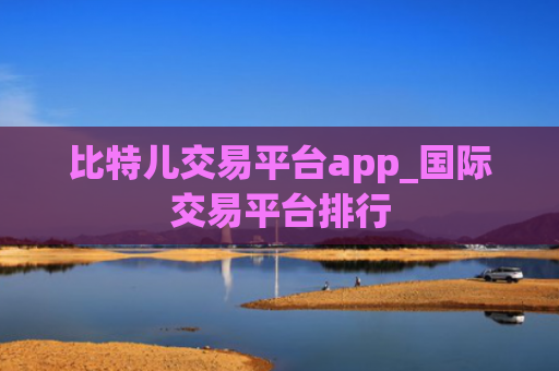 比特儿交易平台app_国际交易平台排行