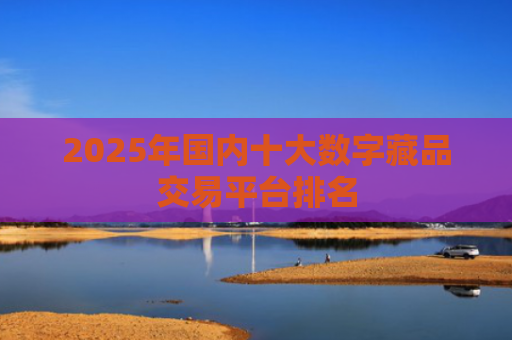 2025年国内十大数字藏品交易平台排名