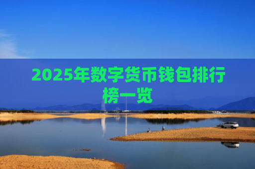 2025年数字货币钱包排行榜一览