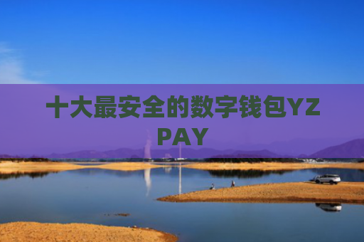 十大最安全的数字钱包YZPAY