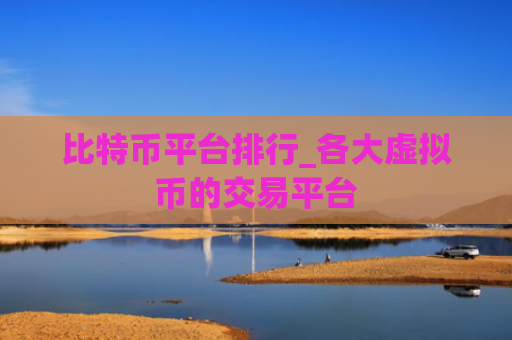 比特币平台排行_各大虚拟币的交易平台