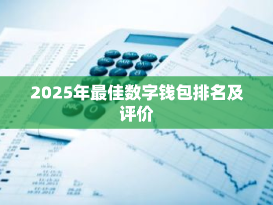 2025年最佳数字钱包排名及评价