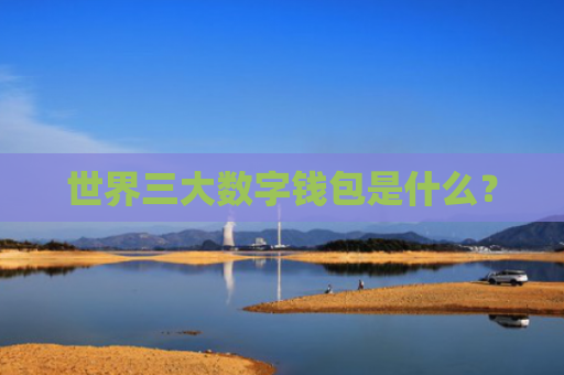 世界三大数字钱包是什么?