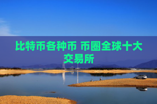 比特币各种币 币圈全球十大交易所