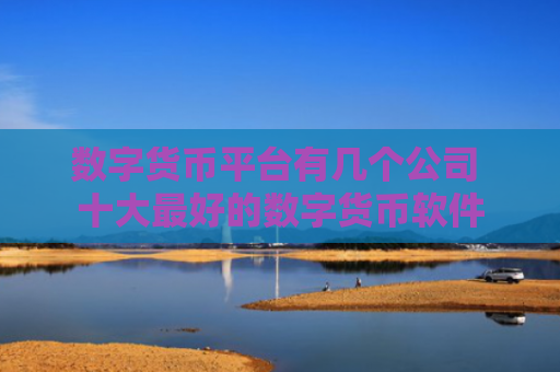 数字货币平台有几个公司 十大最好的数字货币软件
