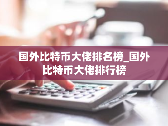 国外比特币大佬排名榜_国外比特币大佬排行榜
