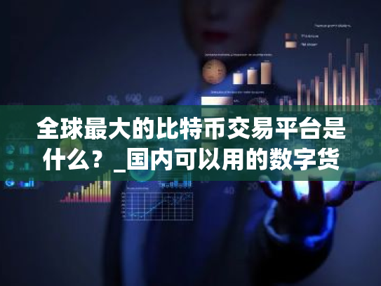 全球最大的比特币交易平台是什么?_国内可以用的数字货币交易平台
