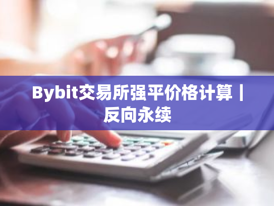 Bybit交易所强平价格计算|反向永续