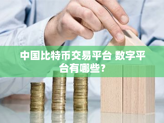 中国比特币交易平台 数字平台有哪些?
