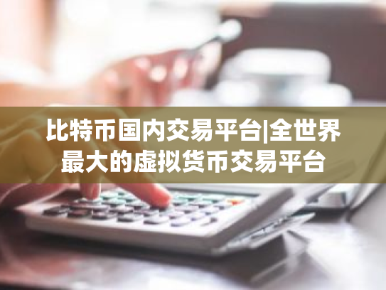 比特币国内交易平台|全世界最大的虚拟货币交易平台