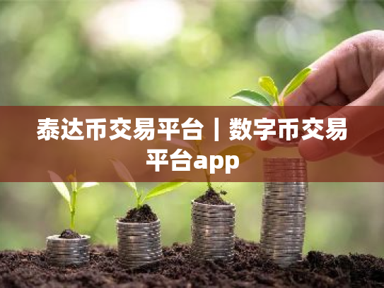 泰达币交易平台|数字币交易平台app