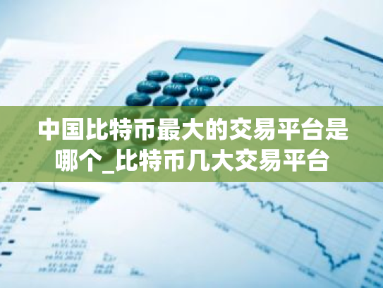 中国比特币最大的交易平台是哪个_比特币几大交易平台