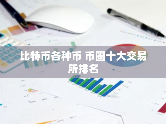 比特币各种币 币圈十大交易所排名