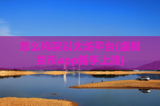怎么样买以太坊平台(虚拟货币app新手上路)