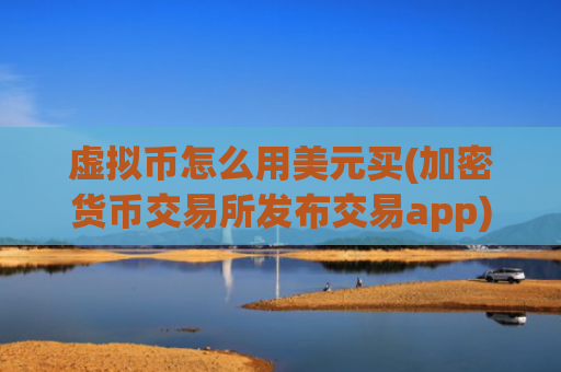 虚拟币怎么用美元买(加密货币交易所发布交易app)