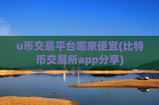 u币交易平台哪家便宜(比特币交易所app分享)