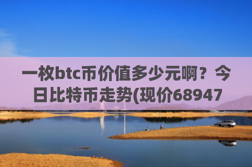 一枚btc币价值多少元啊？今日比特币走势(现价689476.65元)