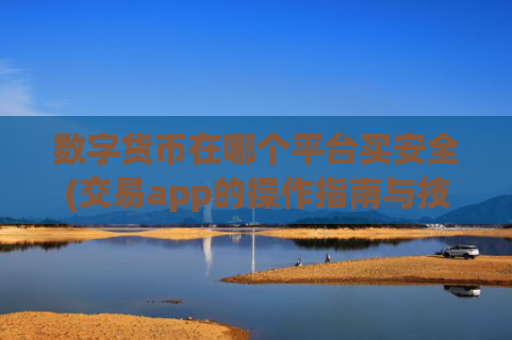 数字货币在哪个平台买安全(交易app的操作指南与技巧)