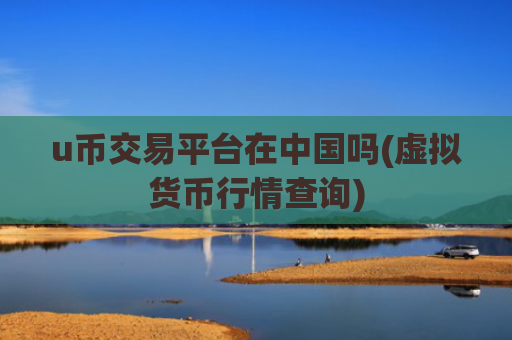 u币交易平台在中国吗(虚拟货币行情查询)