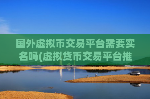 国外虚拟币交易平台需要实名吗(虚拟货币交易平台推荐解析)