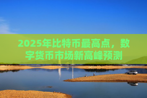 2025年比特币最高点,数字货币市场新高峰预测