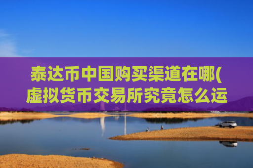 泰达币中国购买渠道在哪(虚拟货币交易所究竟怎么运作)