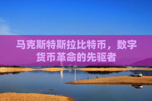 马克斯特斯拉比特币，数字货币革命的先驱者