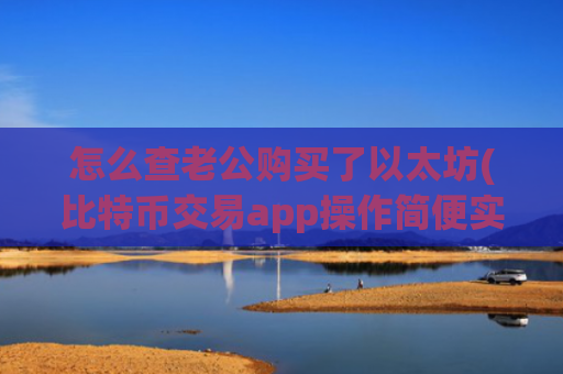怎么查老公购买了以太坊(比特币交易app操作简便实用)