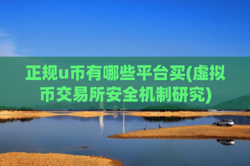正规u币有哪些平台买(虚拟币交易所安全机制研究)